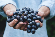 South Australian Shiraz Grapes